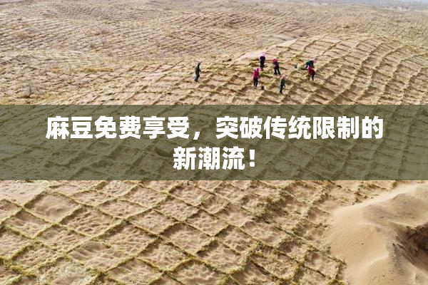 麻豆免费享受，突破传统限制的新潮流！