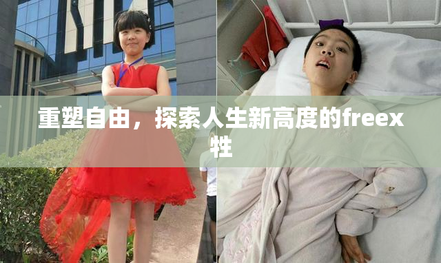 重塑自由，探索人生新高度的freex牲