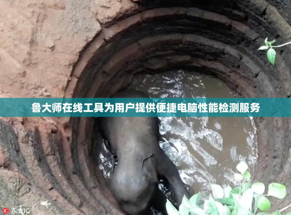 鲁大师在线工具为用户提供便捷电脑性能检测服务