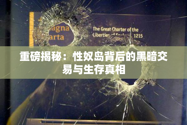 重磅揭秘：性奴岛背后的黑暗交易与生存真相