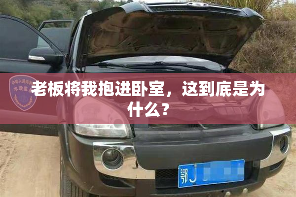 老板将我抱进卧室，这到底是为什么？