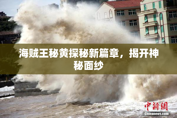 海贼王秘黄探秘新篇章，揭开神秘面纱