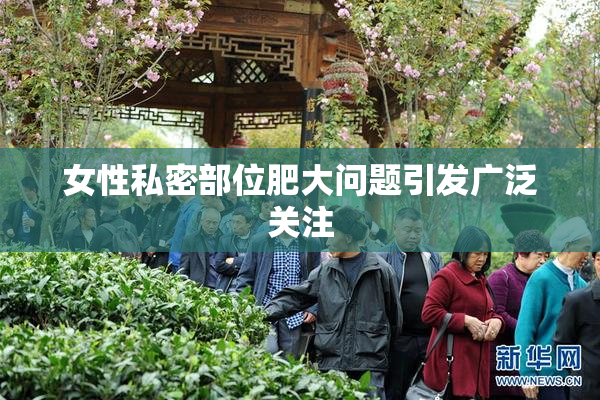 女性私密部位肥大问题引发广泛关注