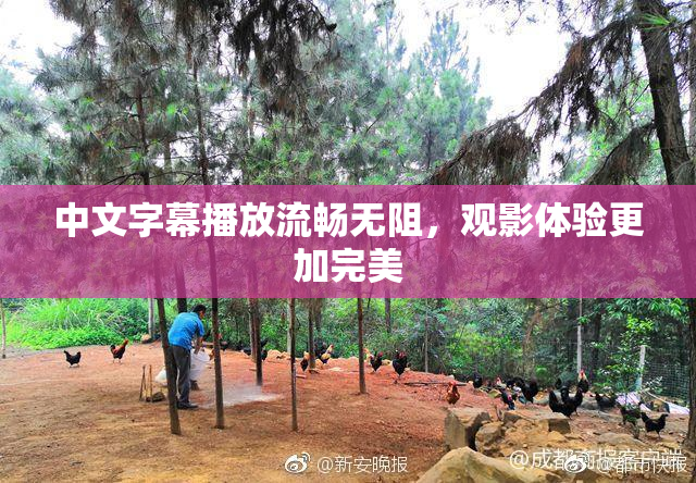 中文字幕播放流畅无阻，观影体验更加完美