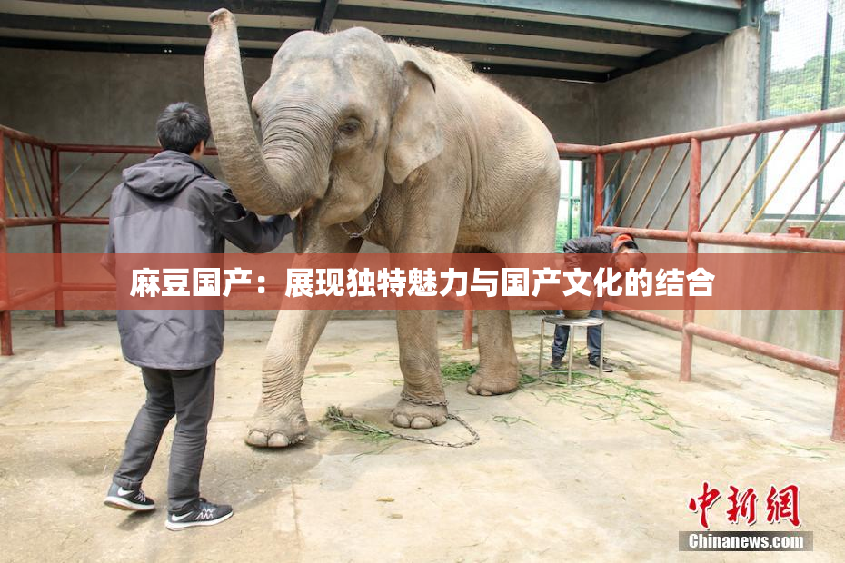 麻豆国产：展现独特魅力与国产文化的结合