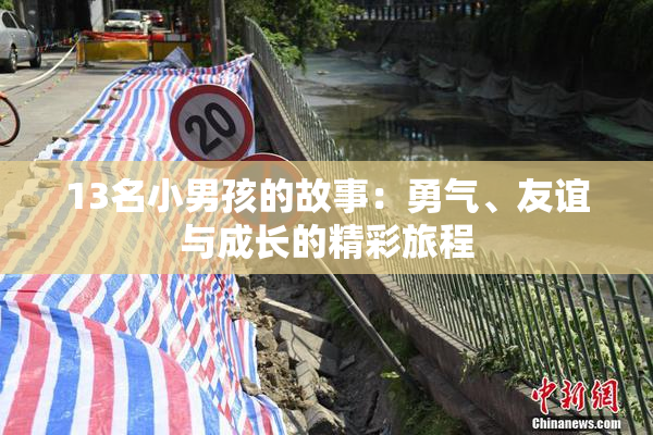 13名小男孩的故事：勇气、友谊与成长的精彩旅程