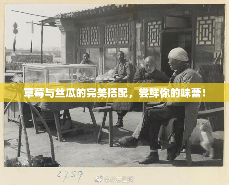 草莓与丝瓜的完美搭配，尝鲜你的味蕾！