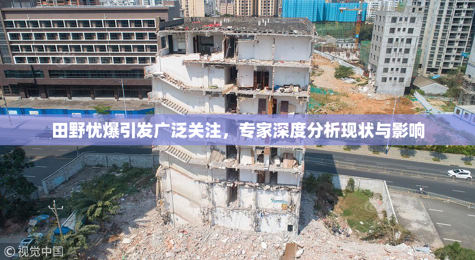 田野忧爆引发广泛关注，专家深度分析现状与影响