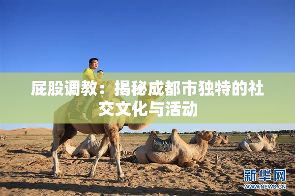 屁股调教：揭秘成都市独特的社交文化与活动