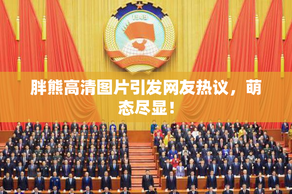胖熊高清图片引发网友热议，萌态尽显！