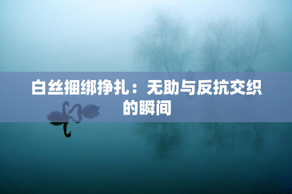 白丝捆绑挣扎：无助与反抗交织的瞬间