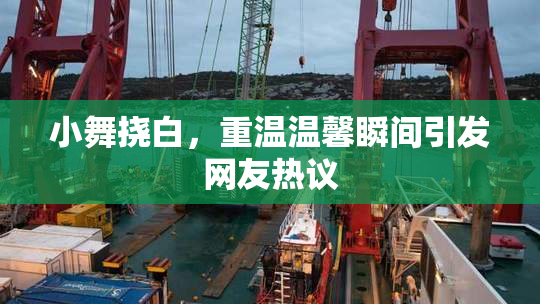 小舞挠白，重温温馨瞬间引发网友热议