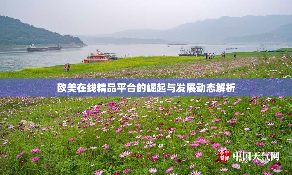 欧美在线精品平台的崛起与发展动态解析