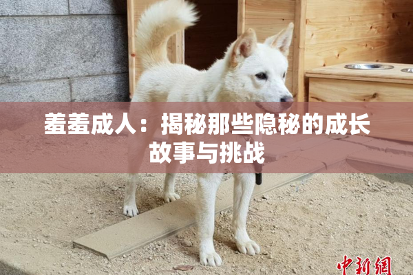 羞羞成人：揭秘那些隐秘的成长故事与挑战