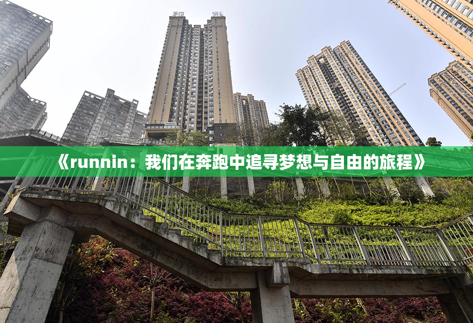 《runnin：我们在奔跑中追寻梦想与自由的旅程》
