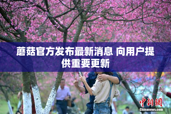 蘑菇官方发布最新消息 向用户提供重要更新