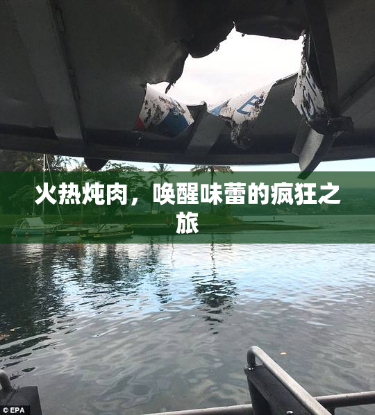 火热炖肉，唤醒味蕾的疯狂之旅