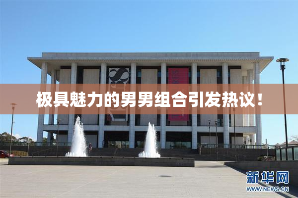 极具魅力的男男组合引发热议！
