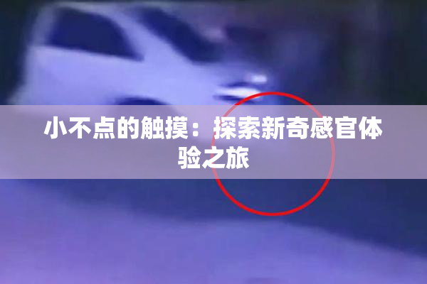 小不点的触摸：探索新奇感官体验之旅