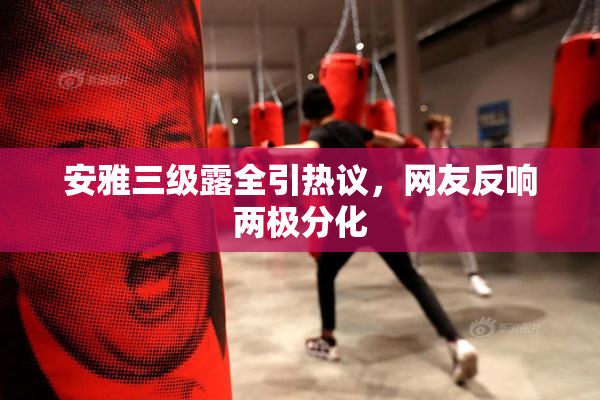 安雅三级露全引热议，网友反响两极分化