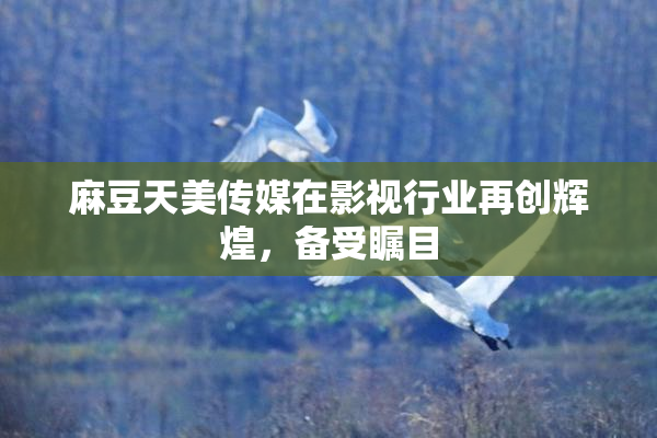 麻豆天美传媒在影视行业再创辉煌，备受瞩目