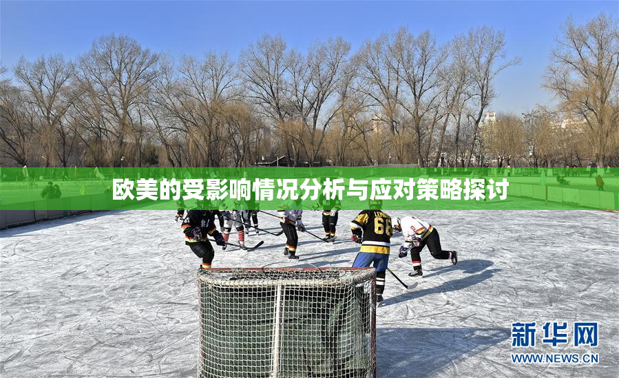 欧美的受影响情况分析与应对策略探讨