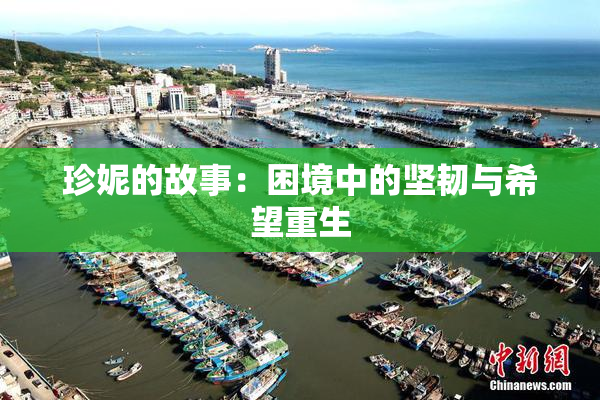 珍妮的故事：困境中的坚韧与希望重生