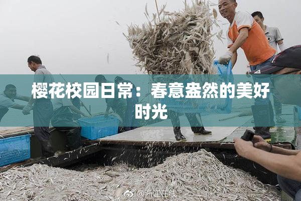 樱花校园日常：春意盎然的美好时光