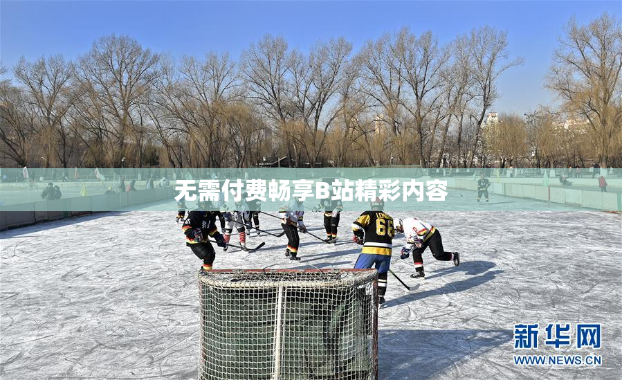 无需付费畅享B站精彩内容