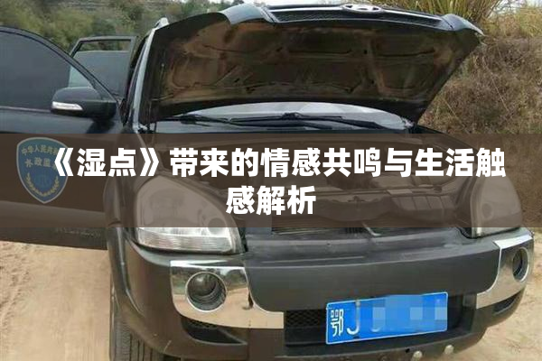《湿点》带来的情感共鸣与生活触感解析