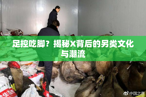 足控吃脚？揭秘X背后的另类文化与潮流