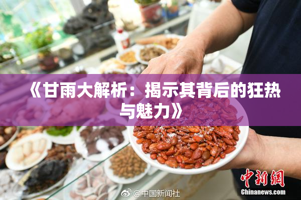 《甘雨大解析：揭示其背后的狂热与魅力》