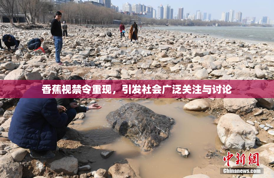 香蕉视禁令重现，引发社会广泛关注与讨论