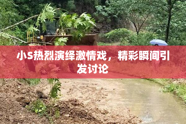 小S热烈演绎激情戏，精彩瞬间引发讨论