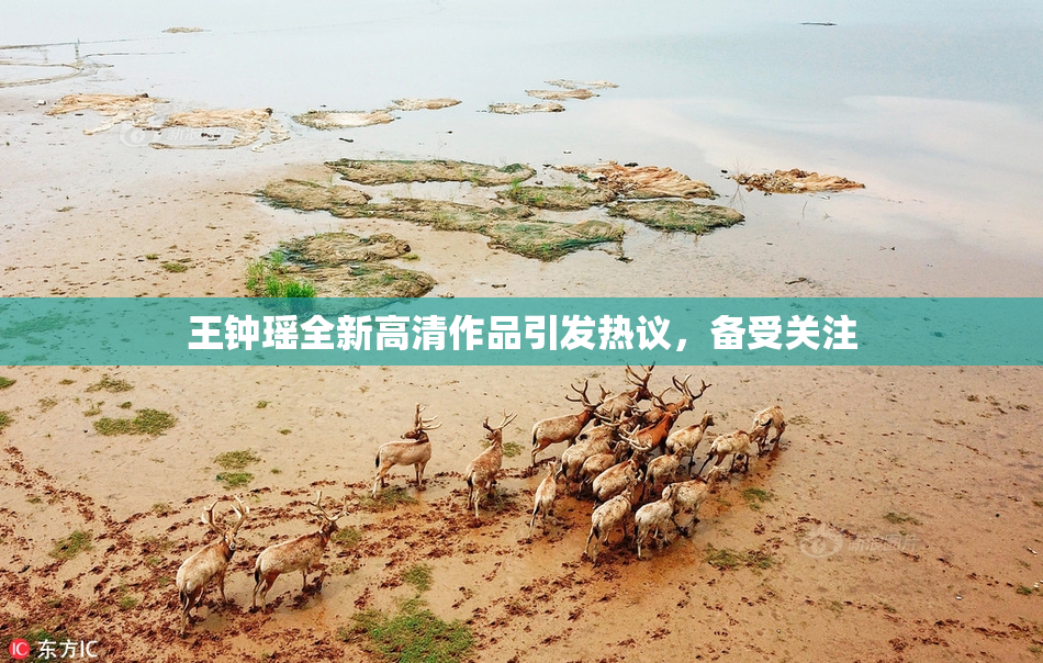 王钟瑶全新高清作品引发热议，备受关注
