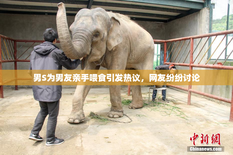 男S为男友亲手喂食引发热议，网友纷纷讨论