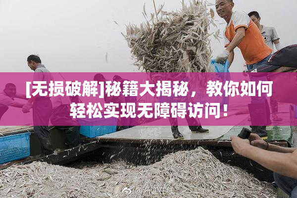 [无损破解]秘籍大揭秘，教你如何轻松实现无障碍访问！