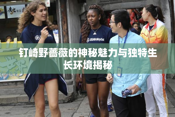 钉崎野蔷薇的神秘魅力与独特生长环境揭秘