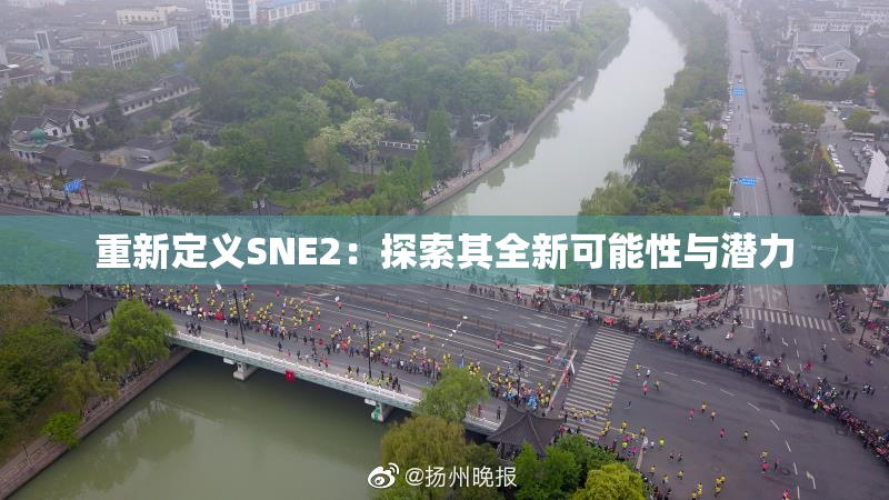 重新定义SNE2：探索其全新可能性与潜力