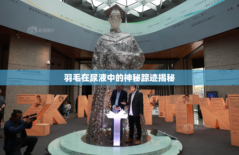 羽毛在尿液中的神秘踪迹揭秘