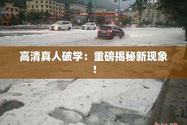 高清真人破学：重磅揭秘新现象！