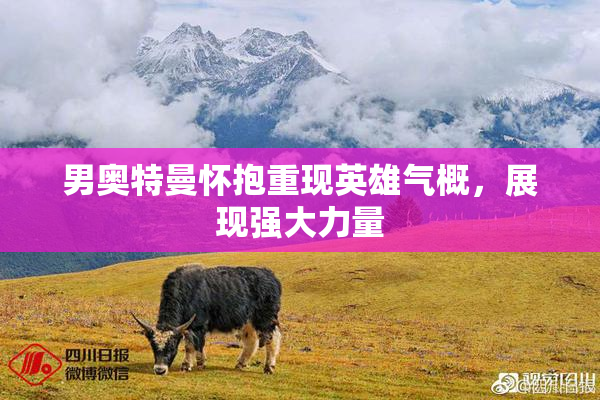 男奥特曼怀抱重现英雄气概，展现强大力量