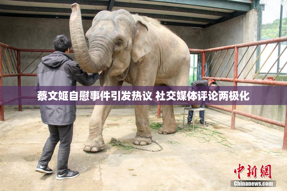 蔡文姬自慰事件引发热议 社交媒体评论两极化