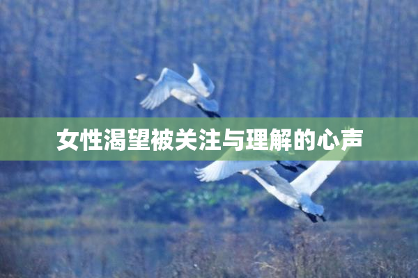 女性渴望被关注与理解的心声