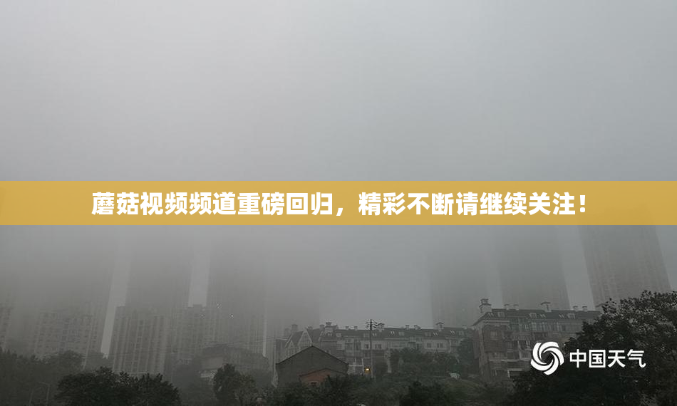 蘑菇视频频道重磅回归，精彩不断请继续关注！