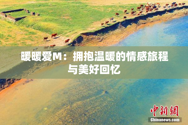 暖暖爱M：拥抱温暖的情感旅程与美好回忆