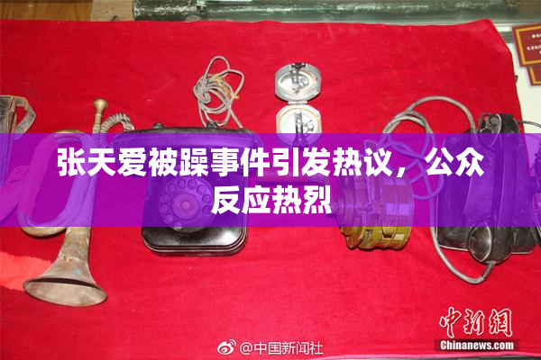 张天爱被躁事件引发热议，公众反应热烈