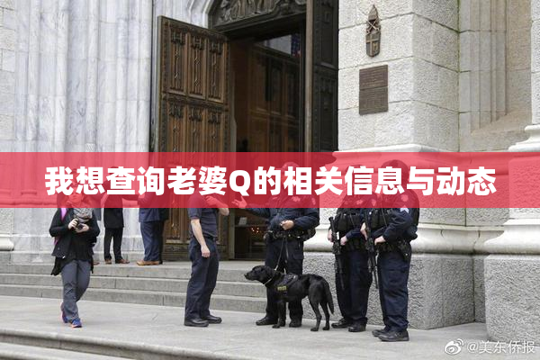 我想查询老婆Q的相关信息与动态