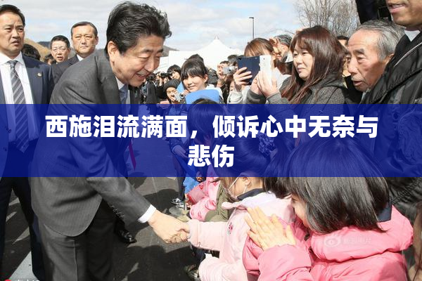 西施泪流满面，倾诉心中无奈与悲伤