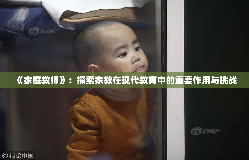 《家庭教师》：探索家教在现代教育中的重要作用与挑战